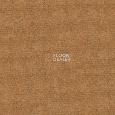 Ковролин Radici Abetone Сaramel 1917 фото 1 | FLOORDEALER